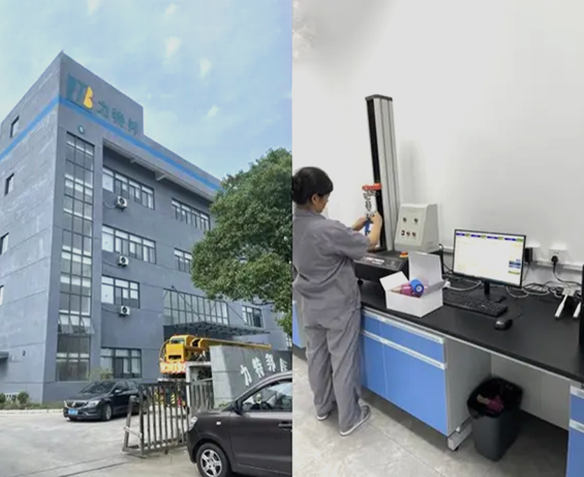 SUZHOU HEALTHLINE TÁIRGÍ LEIGHIS CO, TEO